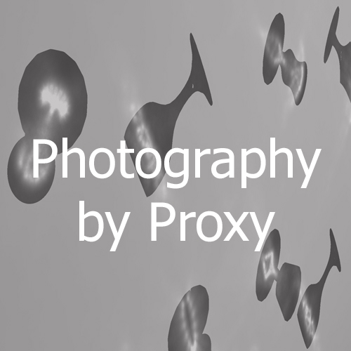 Photography by proxy Installations